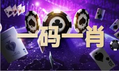879911免费材料大全